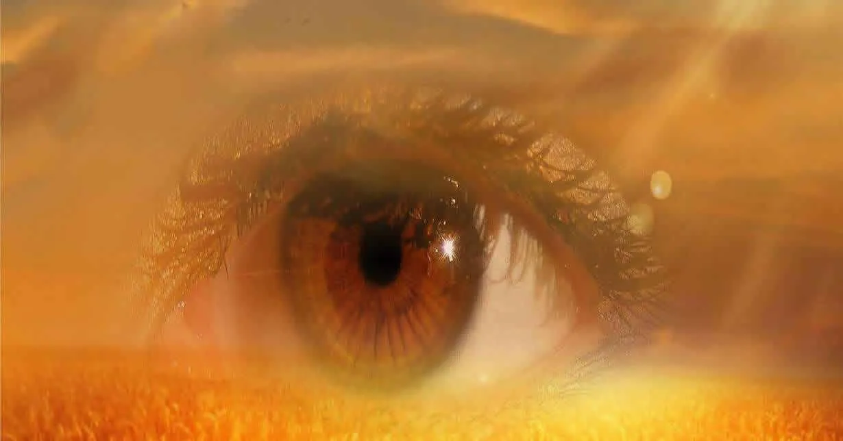 Cursos Online Com Certificado na área de Psicologia